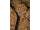 Solar Bow-Lite Landing Net 42"