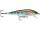 RAPALA FLOATER F09 RT Rainbow Trout