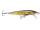RAPALA FLOATER F13