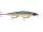 RAPALA SHADOW RAP SDR11