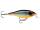 RAPALA SHALLOW SHAD RAP SSR09