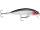 RAPALA X-RAP COUNTDOWN XRCD05 S Silver