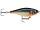 RAPALA X-RAP TWITCHIN SHAD 08 HLW Halloween