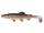 Balzer Clone Shad Bachforelle 12cm