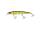 PERCH