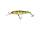 PERCH