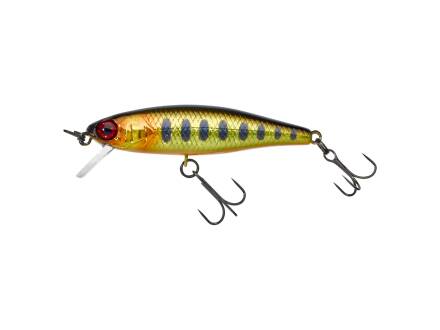 HL GOLD TROUT