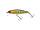 HL GOLD TROUT