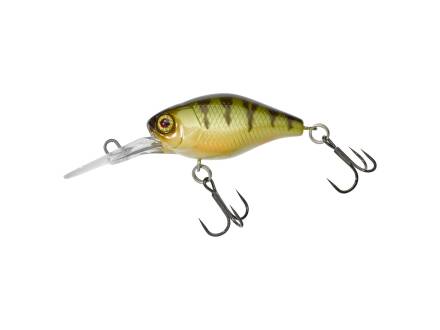 PERCH