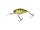 PERCH