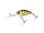 PERCH