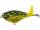 Pike