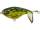 Pike