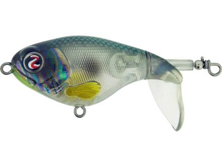 Abalone Shad