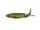 Pike