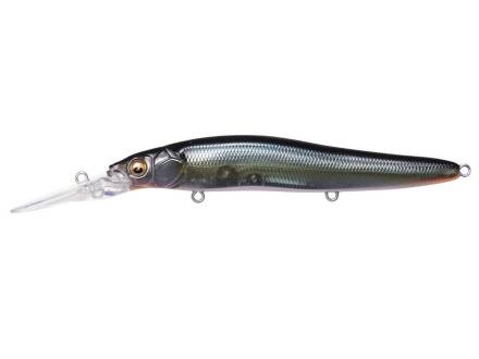 JUKUCHO SHAD