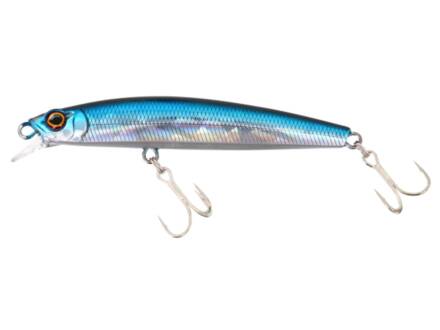 Blue Shad