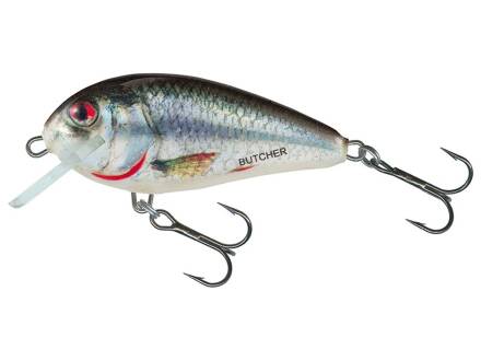 Holographic Real Dace