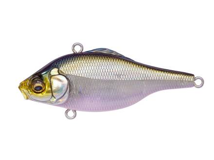 HT ITO TENNESSEE SHAD (Silent)