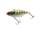 Uroko HL Chartback Bluegill