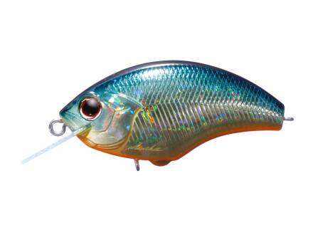 H03 American Sunfish