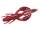 W018 Ebimiso Red
