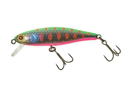 TROUT NIGHTMARE