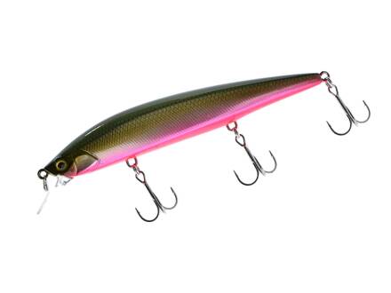 HL Green Shiner