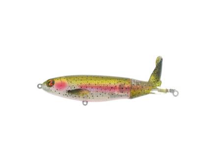 Rainbow Trout