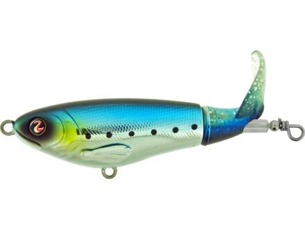 Sardine