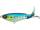Sardine