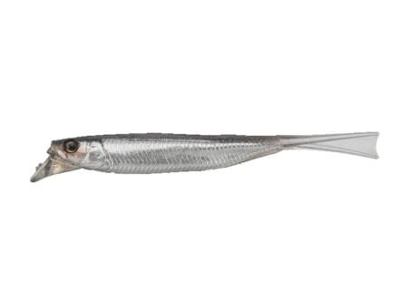 Silver Powder Shad