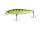 Perch H-33