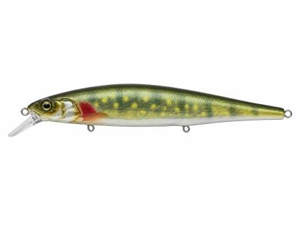 RT Lively Pike