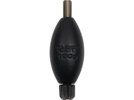 100g
